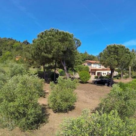 Villa Vanna Trilo -Quadrilocale กาโปลิเวรี ภายนอก รูปภาพ