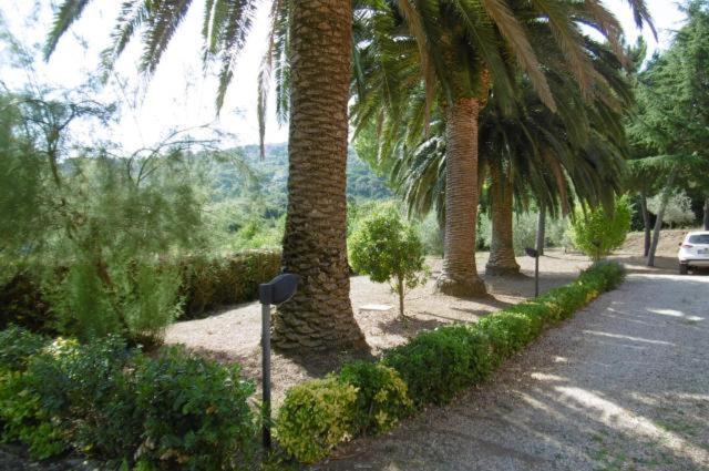 Villa Vanna Trilo -Quadrilocale กาโปลิเวรี ภายนอก รูปภาพ